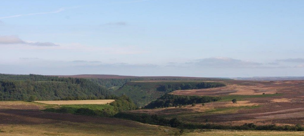 Ryedale and North York Moors
